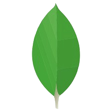 MongoDB